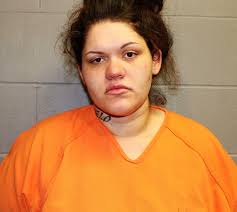 Arson, sex crimes and burglary lead recent indictments