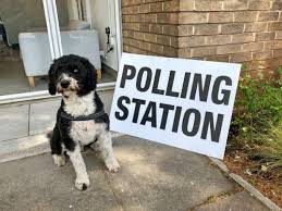 (britain, canada, australia) a place where voters go to cast their ballot in an election or referendum; Bphn93ncetgham