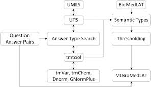 Basic diagram of an animal cell. Multi Label Biomedical Question Classification For Lexical Answer Type Prediction Sciencedirect