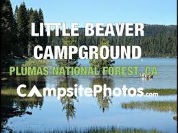 Be mindful of rules and call ahead for any bread or quantity restrictions. Little Beaver Campground Plumas National Forest California Campsite Photos Youtube
