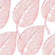 Line Palm Leaves Leaves Palm Png Transparent Clipart Image And Psd File For Free Download Tropical Leaves Illustration Leaf Illustration Leaf Outline