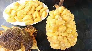 We did not find results for: Amazing Jackfruit Cutting Skills Amazing Way To Open A Big Jackfruit How To Cut A Jackfruit Youtube