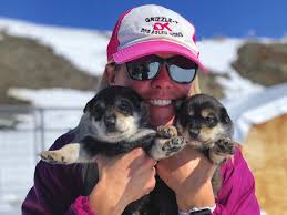 Learning Takes Flight