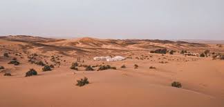 The sahara desert is the worlds largest hot desert. Tips For Planning Your Trip To The Sahara Desert 2021 A Broken Backpack