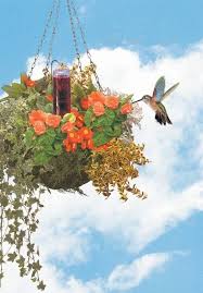Maybe you would like to learn more about one of these? 22 Container Gardens For Hummingbird Butterflies Ideas Flowers For Butterflies Flowers Plants