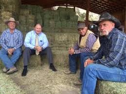 Action Alert: Cattle Rancher Calls for Adoption, Euthanasia, or Slaughter  of the Heber Wild Horse Herd