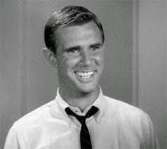 Television's New Frontier: The 1960s: Window