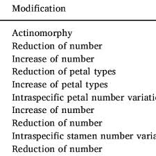 Image result for Englerodendron mengei