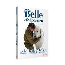 When the plane carrying the young woman to her small village in the alps is reported to have crashed in the mountains, sebastian is convinced that angelina is still alive. Belle Et Sebastien La Trilogie Coffret Dvd Dvd Zone 2 Achat Prix Fnac