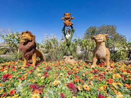 What is epcot flower and garden festival. Lion King Topiaries Move To Future World West Ahead Of 2021 Epcot Flower And Garden Festival