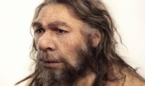 Homo neanderthalensis, king 1864, comunemente detto uomo di neanderthal1, è un ominide strettamente affine all'homo sapiens che visse nel periodo paleolitico medio, compreso tra i 200 000 e i 40 000 anni fa. Una Tribu Perduta Di Homo Sapiens Ricompare Nel Dna Di Un Neanderthal Business Insider Italia