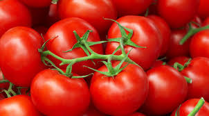 Image result for tomato