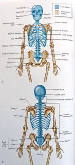 Pin On Helpful Study Guides Emt