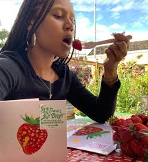 The Next Record Store