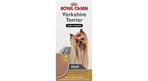 Royal Canin Breed Health Nutrition Yorkshire Terrier Loaf In Sauce Dog Food Pack Of 41 3 Oz Learn More B Dog Food Recipes Royal Canin Dog Food Wet Dog Food