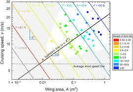 Scaling Of Bird Wings And Feathers For Efficient Flight