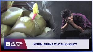 ڤروبتن) ialah sains dan amalan berkenaan diagnosis, rawatan, dan pencegahan penyakit. Kebaikan Dan Keburukan Ubat Alternatif 2021
