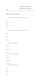 Chapter 16 Lesson 2 The Male Reproductive System
