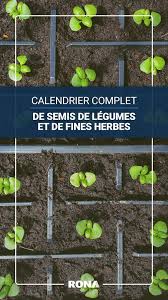 Parmi Les Joies De L Ete Il Y A Celle De Recolter Les Fruits Et Les Legumes Du Potager Pour Assurer Une Belle Recolte Lawn And Garden Herb Seeds Vegetables