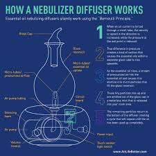 The diffuser reeds soak up the fragrance oil and disperse the scent into the air. How Do Aromatherapy Diffusers Work Quora