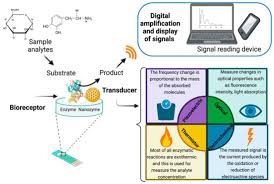Enzyme (Single and Multiple) and Nanozyme Biosensors: Recent Developments  and Their Novel Applications in the Water-Food-Health Nexus