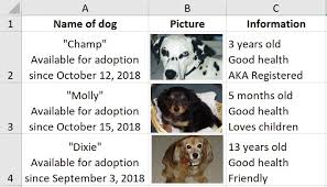 Jpeg, jpg (joint photographic experts group) jpeg is the most common image just choose size and download free example.jpg files for testing upload or skaling images. Microsoft Excel How To Insert An Image Into A Cell Journal Of Accountancy