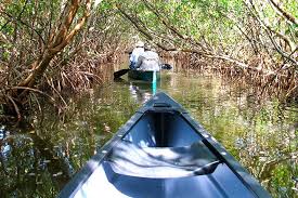 Hotels in der nähe von brooker creek preserve, tarpon springs: Brooker Creek Preserve Watermatters Org