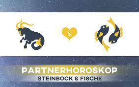Steinbock fisch beziehung