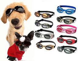 Doggles Ils Dog Goggles Sunglasses Assorted Colors Uv Eye
