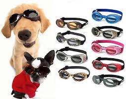 doggles ils dog goggles sunglasses assorted colors uv eye