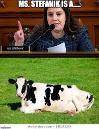 Elise stefanik as its chairwoman, sealing the new york lawmaker's ascent two days after the group ousted rep. Image Tagged In Elise Stefanik Imgflip