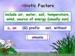 Biotic And Abiotic Factors In An Ecosystem Slideshare Ecosystems Biotic And Abiotic Factors In 2020 Abiotic Ecosystems Biotic