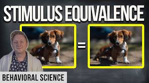 Stimulus Equivalence In One Minute Aba Key Terms Youtube