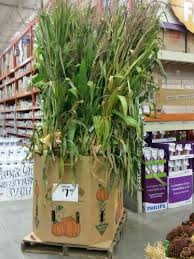 Or more moroccan accents in swedish homes? Cornstalks Now Available At Your Altamonte Springs Home Depot Spring Home Altamonte Springs Home Depot