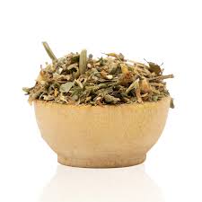 Image result for Tinnea vesiculosa