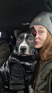 Hi everyone! This is Luna, she is 4 months old! As we're all aware she is a  piranhasaurousrex teething monster. I am trying to cut her nails, but  everytime I try she