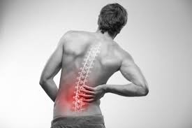 Image result for Low Back Pain Management