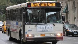 Image result for Brilliant White 1986 Bullens Transport Services