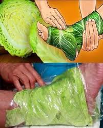 Cabbage leaves for varicose veins relief