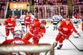 Drew Miller 01 18 2014 Detroit Red Wings Red Wings National Hockey League