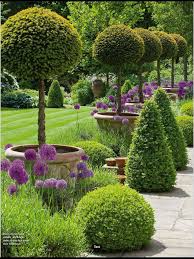 Boarder Design Box Ball Olive Lavender Small Front Yard Landscaping Small Garden Design Garden Layout