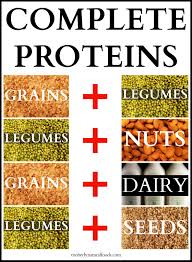 Complete Proteins Ritesh Bawri