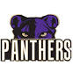 Union County Panthers vs Towns County Indians event image