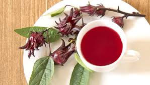 Check spelling or type a new query. Efektifkah Konsumsi Teh Daun Jati Cina Sebagai Pelangsing