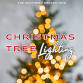 2024 Grants Pass Holiday Tree Lighting — The Southern Oregon Mom