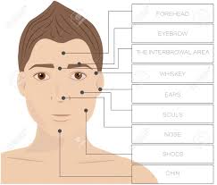 Message shaving gel over the pubic hair, do it with your hand. Laser Hair Removal Male Area Face Depilation Man Royalty Free Cliparts Vectors And Stock Illustration Image 75264164