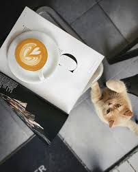 Pin Di Cafes Minana Su Coffee Addict