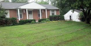 Find the average cost to fertilize a lawn per acre you can also skip fertilizing, instead choosing to xeriscape (creating water efficient landscaping) to save money on water and time and expenses on. Help My Landscaper Damaged My Lawn What Is My Legal Recourse