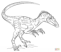 Velociraptor Super Coloring Disegni Da Colorare Disegnare Animali Disegni