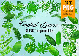 Find this pin and more on craft by katie barton. Tropical Leaves Clip Art 30 Watercolor Textured Transparent Images